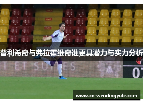 普利希奇与弗拉霍维奇谁更具潜力与实力分析