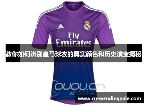 教你如何辨别皇马球衣的真实颜色和历史演变揭秘